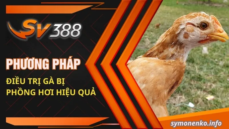 Phương pháp điều trị gà bị phồng hơi hiệu quả  