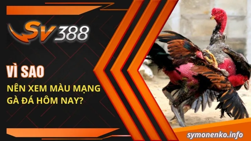 Cách Xem Màu Mạng Đá Gà Hôm Nay Mới Nhất 2025 3 Vì sao nên xem màu mạng gà đá hôm nay?