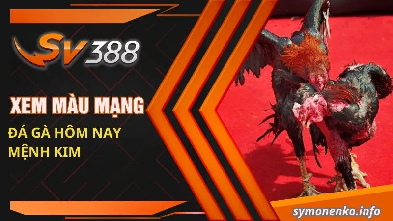 Cách Xem Màu Mạng Đá Gà Hôm Nay Mới Nhất 2025 4 Xem màu mạng đá gà hôm nay mệnh Kim