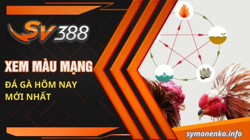 Cách Xem Màu Mạng Đá Gà Hôm Nay Mới Nhất 2025 2 Xem màu mạng đá gà hôm nay mới nhất