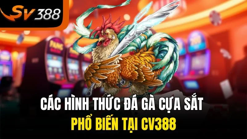 Các hình thức đá gà cựa sắt phổ biến tại SV388